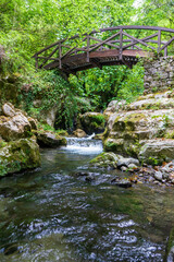 bridge on stream in morigerati in Cilento National Park
