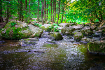 Wanderung durch das Höllbachtal in der nähe von Rettenbach im bayerischen Wald