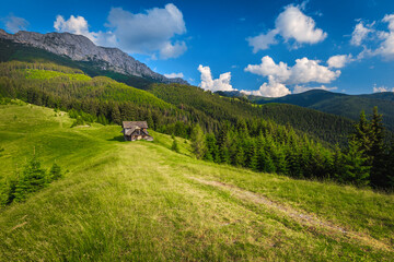 Fototapeta na wymiar Old wooden hut on the green fields, Carpathians, Romania