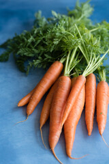 A bunch of fresh  organic carrots.
