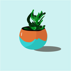 vector illustration a succulent plant