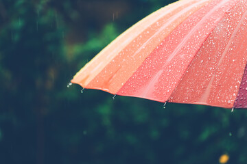 Colorful umbrella in the garden at the rainy days