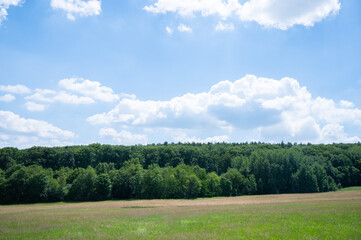 nature view with green meadow, blue sky and mixed forest