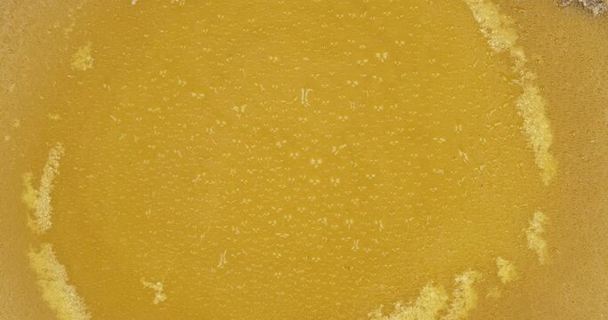 Falling drops of rain on natural beeswax. Close-up. Natural beeswax melted from honeycomb. Beeswax background and texture.