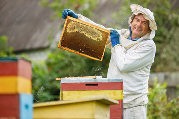 Beekeeper at apiary