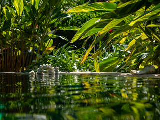 WHITE STONES IN BALANCE REFLECTED ON THE WATER WITH A GREEN PLANT BACKGROUND