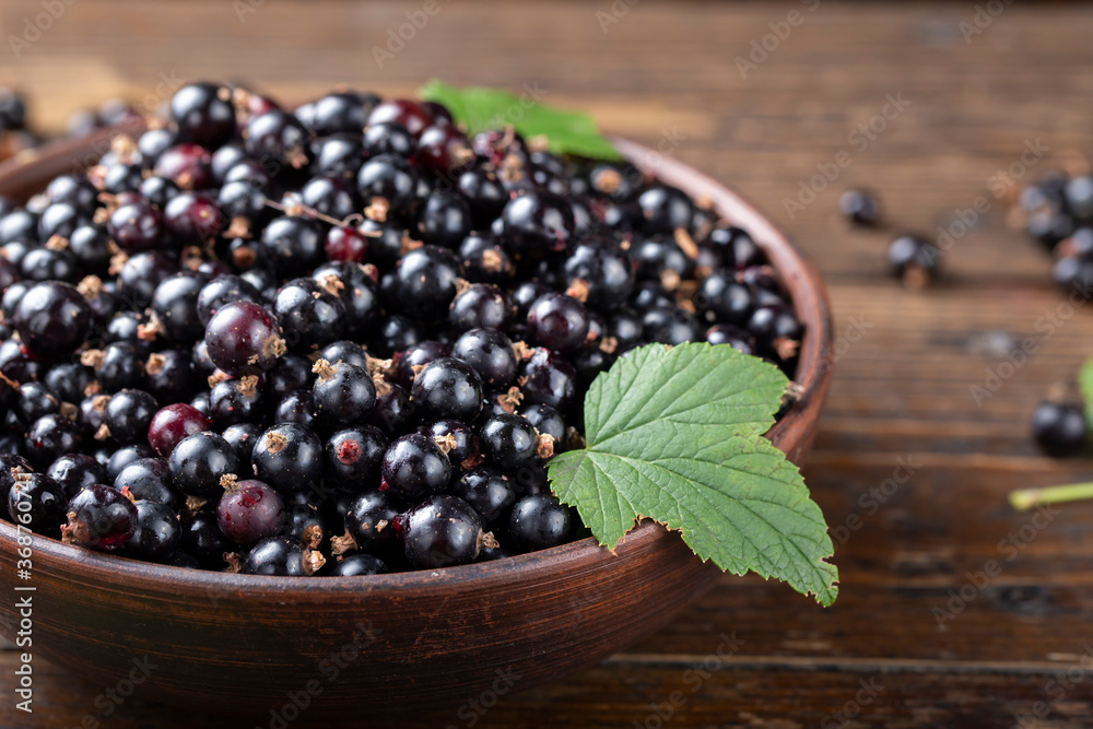 Wall mural currant in a clay plate