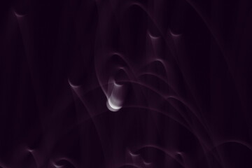 Fototapeta premium 月光の軌跡