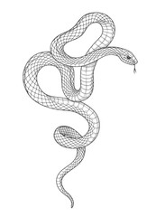 Vector Hand Drawn Monochrome Snake