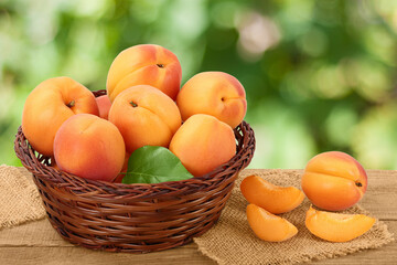 apricot fruit in Wicker basket on wooden table with blurred garden background. Clipping path