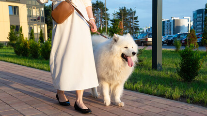 A girl walks with a white furry dog in a residential area