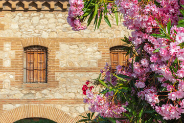 Fototapeta na wymiar Flowers in front of the stone house, front yard. Landscape design, facade