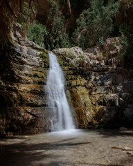 Fototapeta na wymiar Waterfall in the desert – part of the Ein Gedi oasis natural reserve in southern Israel. Long exposure shot.