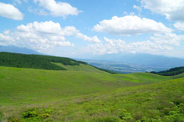 Fototapeta premium 夏の霧ヶ峰高原