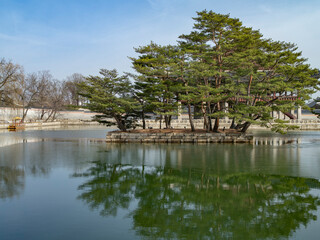 Fototapeta na wymiar 韓国の王宮の池