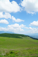 Naklejka premium 夏の霧ヶ峰高原