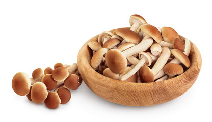 honey fungus mushrooms in wooden bowl isolated on white background with clipping path and full depth of field