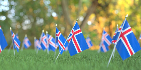 Flags of Iceland in the grass. National holiday related 3D rendering