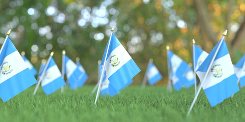 Many flags of Guatemala in the grass. National holiday related 3D rendering