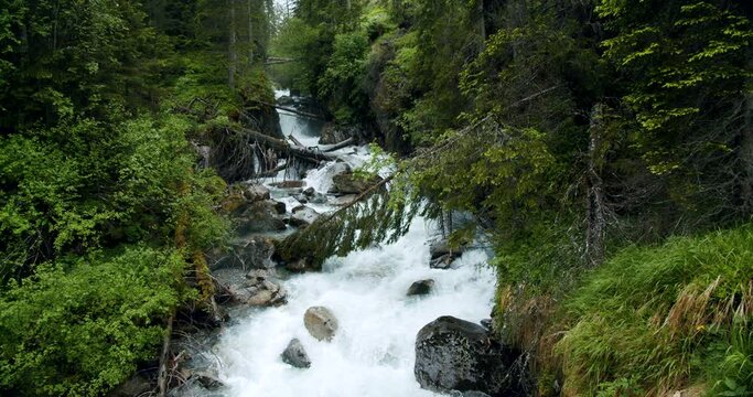 Stubai, Austria. Mountain mistic river in forest near Grawa Waterfall with fallen trees and blue snow melt water.