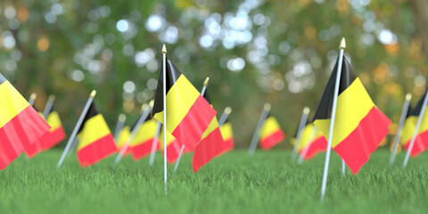 National flags of Belgium in the grass. Celebration related 3D rendering