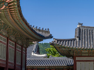 Fototapeta na wymiar 韓国の王宮の屋根
