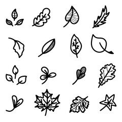 Hand Drawn Forest Autumn Set with Maple Aspen Oak Poplar Physalis Beech Palm Chestnut Leaves. Detailed foliage line art on white background illustration. Fall collection Black sketch design elements