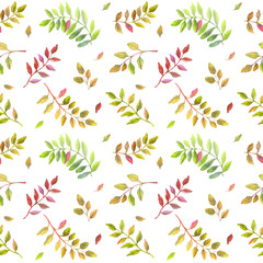 Fototapeta na wymiar Watercolor elegant colorful seamless pattern with colorful leaves. White background