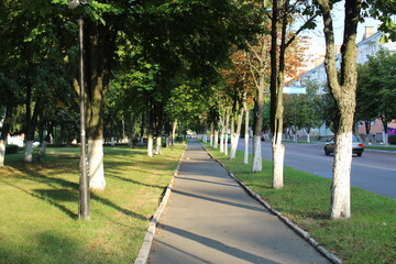 alley pedestrian paved street near the roadway in the city on the edges of trees grow