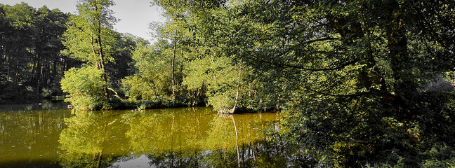 REZERWAT PRZYRODY NIEBIESKIE ŹRÓDŁA. TOMASZÓW MAZOWIECKI, POLSKA.  © michalsen