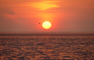 Beautiful sunset at Cape Henlopen State Park, Lewes, Delaware, U.S.A