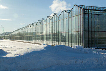 Big industrial greenhouse exterior