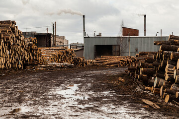 Sawmill with dirt road and heaps of logs