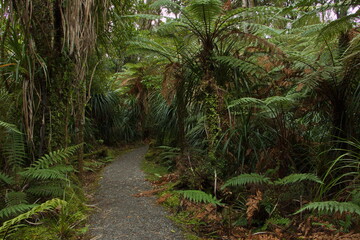 Fototapeta na wymiar Dune Lake Walk at Ship Creek in Mount Aspiring National Park,West Coast on South Island of New Zealand 