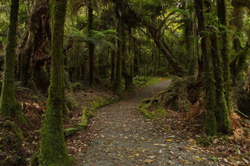 Monro Beach Walk in Mount Aspiring National Park,West Coast on South Island of New Zealand

