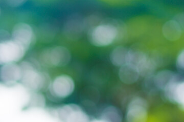 Bokeh blur background,Natural bokeh.blurred bokeh.Green bokeh.