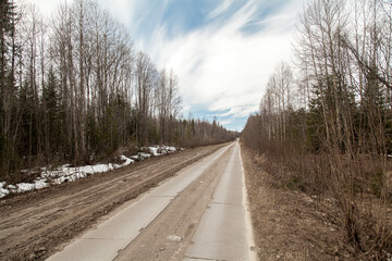 Dirty road in early spring forest