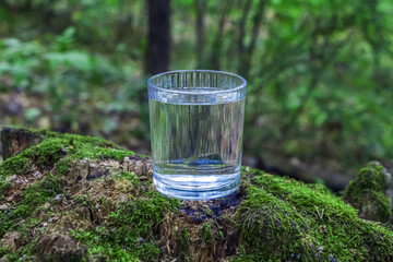 Glass of clean fresh water on tree stump with moss against green natural background. Spring...
