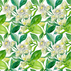 White jasmine flowers. Summer floral seamless pattern.