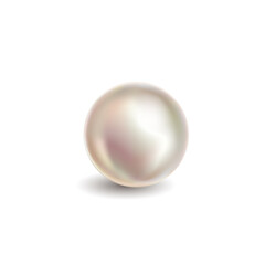 Pearl realistic. White pink bead. Natural tahinian round classic gem stone for necklace. Jewelery graphic isolated illustration