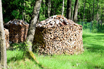 Procurement of fuel for the winter. Storage of firewood in the forest