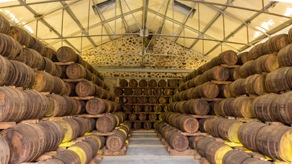 Rum barrels in a cellar in Martinique