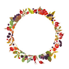 Watercolor elegant frame with colorful red dog rose, red rowan and chokeberry. White background