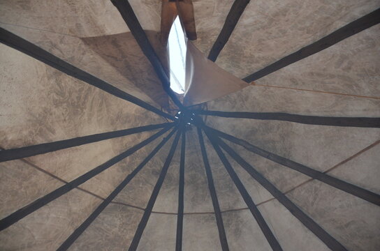 Tipi