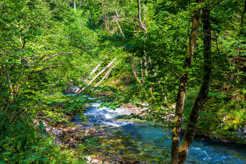 Fototapeta na wymiar crystal clear water in a mountain river in an alpine gorge