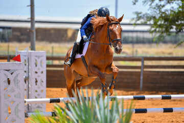 Rider jumps over obstacles during horse show jumping