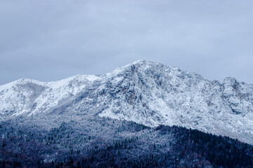 snow was falling