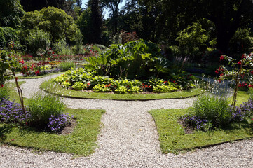 Path in garden, flowers, grass