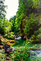 Fototapeta premium crystal clear water in a mountain river in an alpine gorge