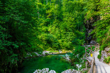 small quiet mountain alpine lake in the green forest